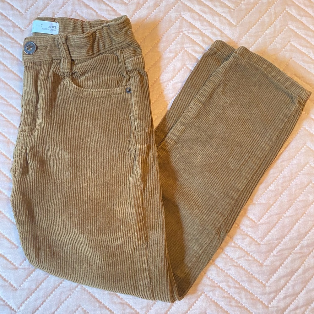 Zara Velvet pants